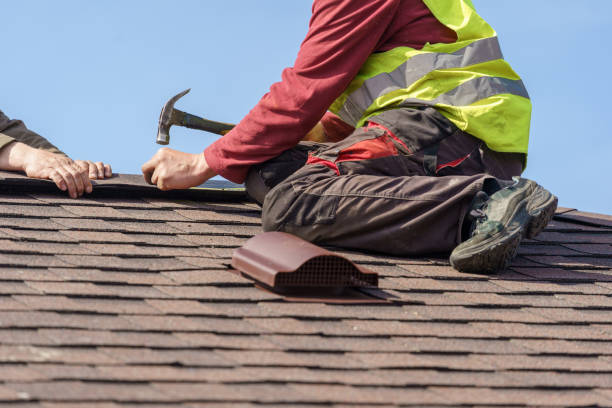 Best Shingle Roofing Installation  in Monte Alto, TX
