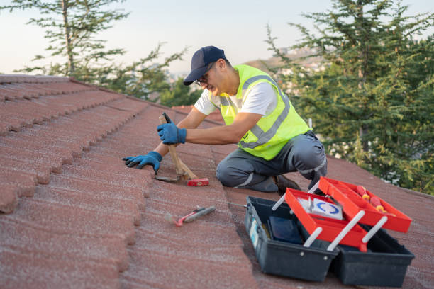 Best New Roof Installation  in Monte Alto, TX