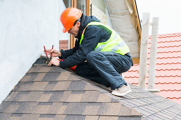 Best Gutter Installation and Roofing  in Monte Alto, TX
